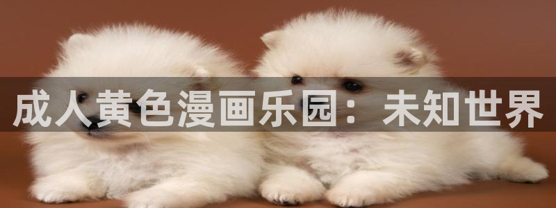 开局一座山 包子漫画：成人黄色漫画乐园：未知世界