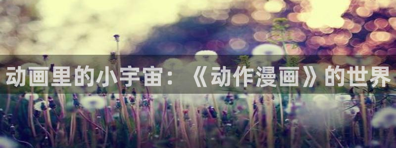 闻风有你包子漫画：动画里的小宇宙：《动作漫画》的世界