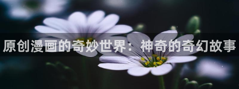 江思先生漫画包子漫画：原创漫画的奇妙世界：神奇的奇幻故事
